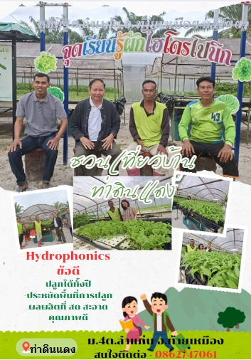 พช.ท้ายเหมืองลงพื้นที่เยี่ยมเยียนศึกษา เรียนรู้ผักไฮโดรโปนิกส์ 