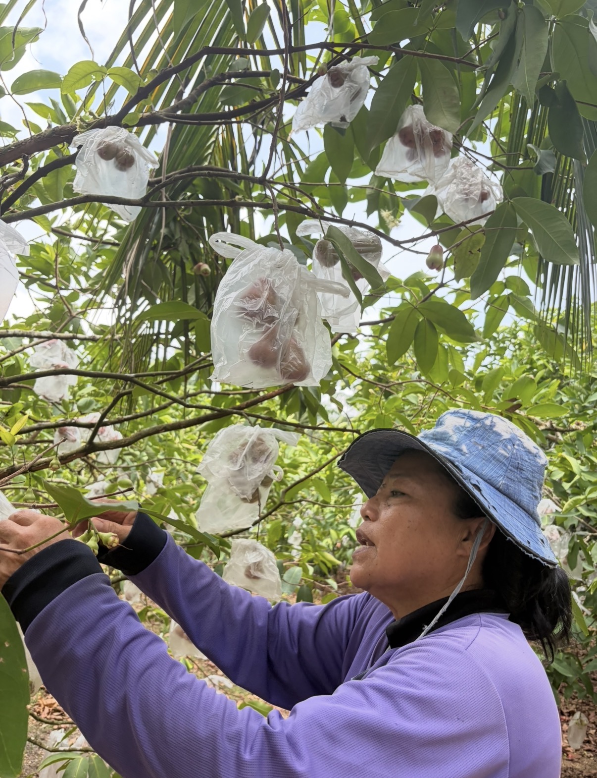 พช.ท้ายเหมือง ขับเคลื่อน การน้อมนำแนวพระราชดำริฯ สร้างความมั่นคงทางอาหาร รองรับภาวะวิกฤต